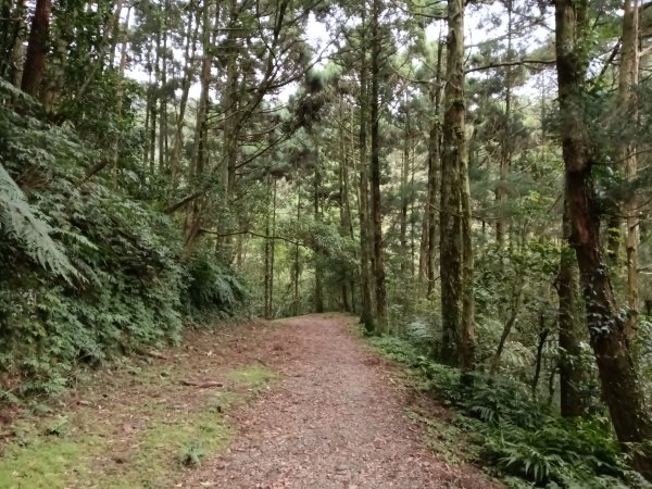 雙溪區石龜福德廟+坪溪古道+梗枋古道+叢雲山+叢雲山北峰+宜1縣縣界O型3019491