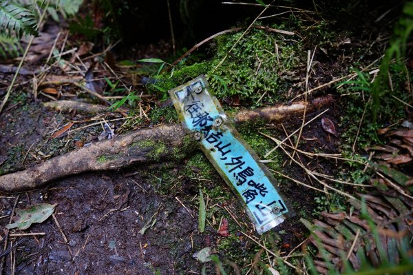 新竹關西鎮 水田林道之貴妃&那結山連走1539719
