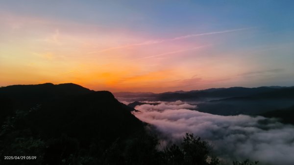 翡翠水庫壩頂 #火燒雲雲海 #日出雲海 #鱷魚島 #藍腹鷴 4/292772672