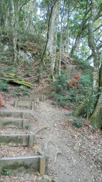 104.12.1台中稍來山南峰+稍來山主189066