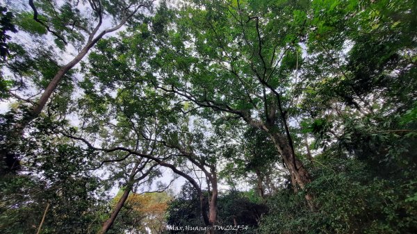 《新竹》城市微旅｜十八尖山+香山濕地賞蟹步道202511012928399