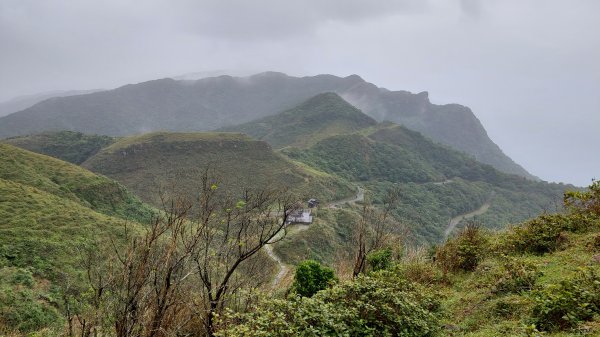 20221105-草嶺古道+桃源谷步道1902593