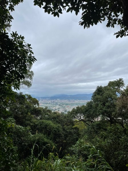 楓樹河濱公園紫色蒜香藤&泰山健行1532332