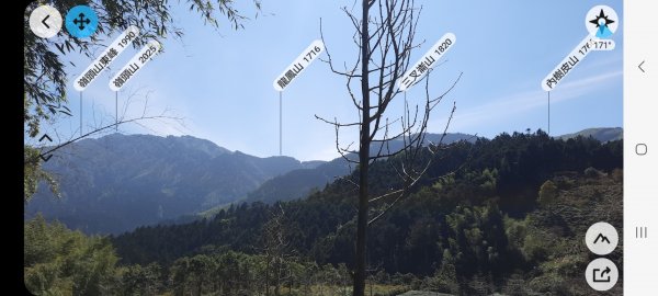 《南投》竹林台灣杉｜溪頭山竹崙山志騰山O繞202302182036066
