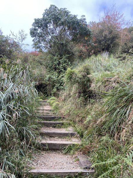 大塔山3061612