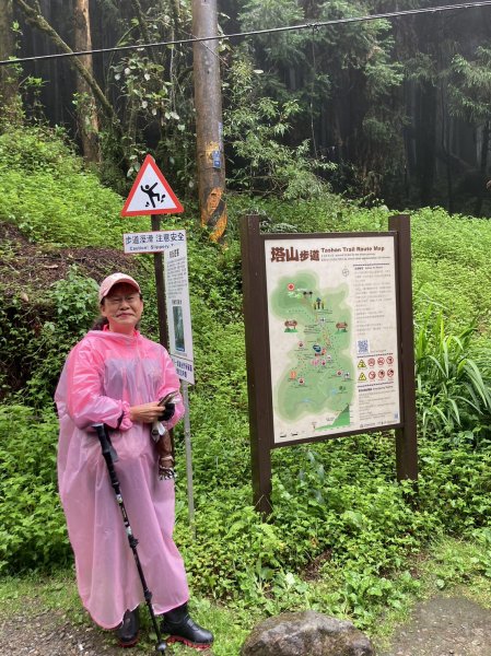 塔山步道、眠月線大崩壁【嘉義-台灣百大必訪步道】、#059 大塔山 H2663m【小百岳集起來】2149353