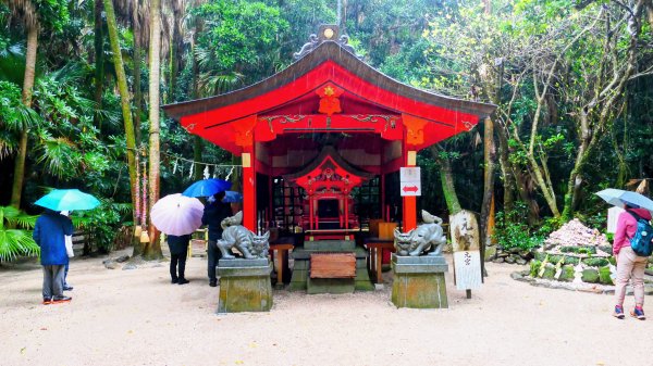 宮崎青島,母智丘,桷志田,櫻島,渡輪3027891