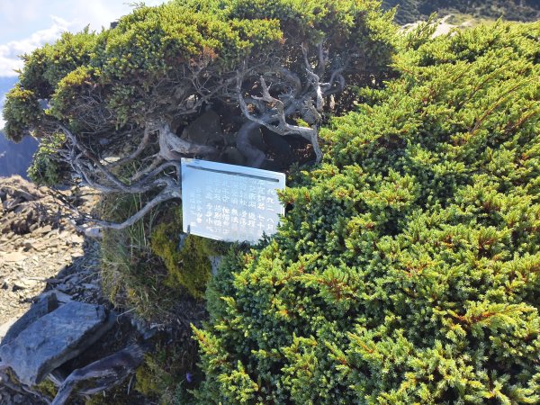 北一段(11/14)南湖北峰 2025_0906~132887260