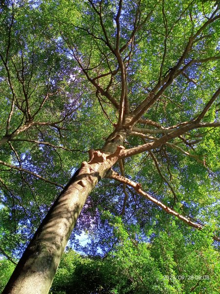 師大公園、師大本部 (國立臺灣師範大學和平校區) 【走路趣尋寶、健康大穀東】2298585