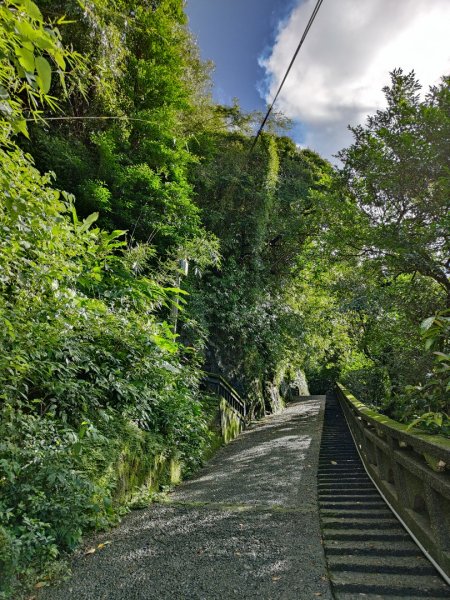 2023.12.14 紅淡山2826447