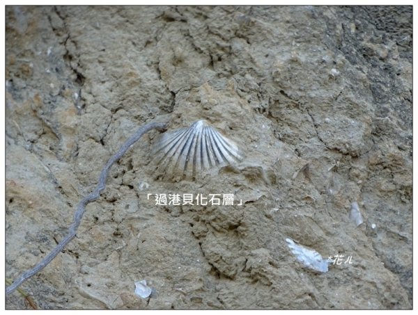 三媽縱走 ( 半天寮山、好望角、白沙屯山 連走 )2973251