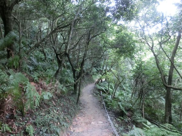 碧溪步道．翠山步道192012