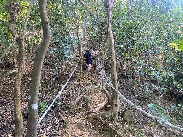 月光山.雙峰山.克孝峰【進可攻 退可守的完美路線】2740721