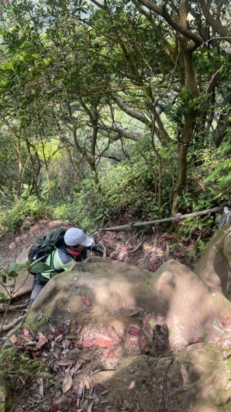 銀河洞越嶺貓空-新高麗坑山-銀獅縱走-猴山岳群峰+三條魚縱走2765323