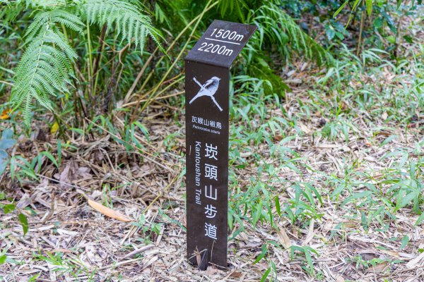 [台南]崁頭山2848475