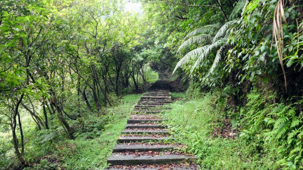 貂山古道,琉榔路觀光步道2590550