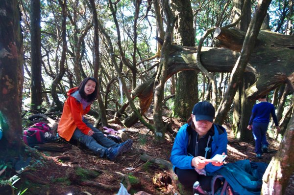 煤源登內鳥嘴山728987