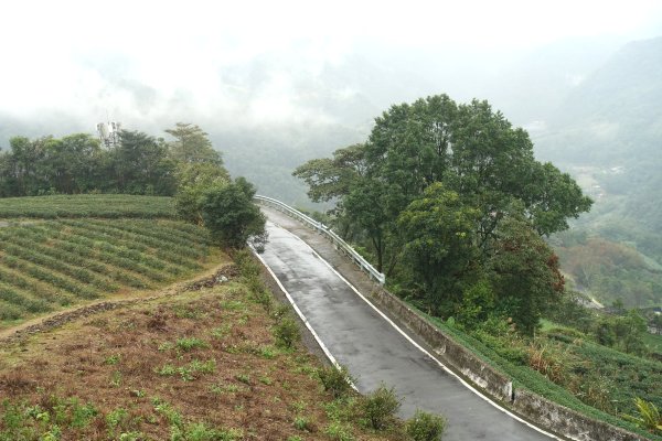南山寺觀景台3086095