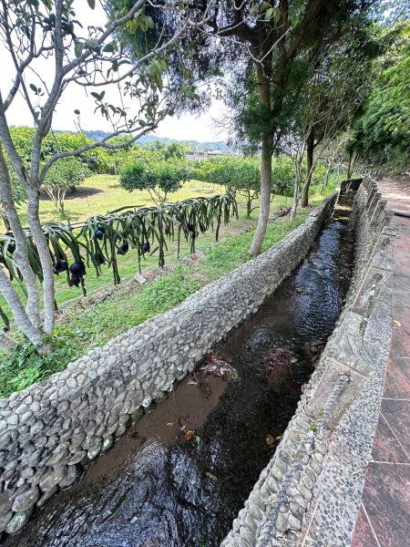 南埔村觀音步道和挑水壢古道順遊客家村落2558746