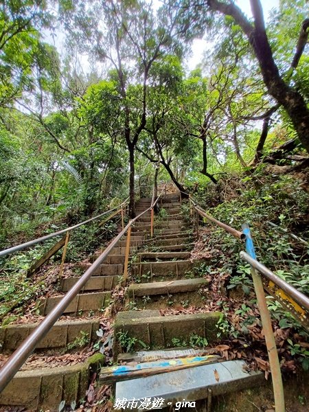 【台中北屯】走步道洗塵心。 No42小百岳南觀音山x青春嶺2196475