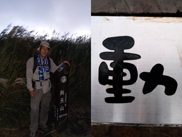 202021031陽明山東西大縱走1153300