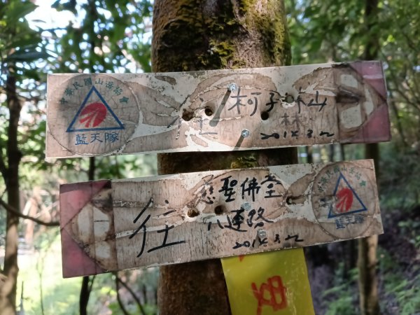 汐止區火燒坪山+車坪寮崙+五指山前峰O型2857920