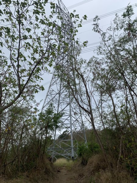 20250405屏東頂楓港山-上楓港山2757488