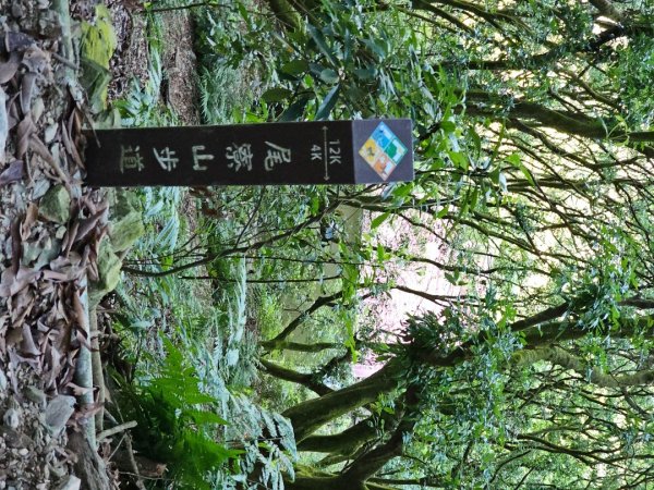 尾寮山-小百岳#73-屏東縣三地門鄉2931091