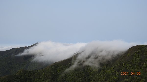 0405陽明山再見雲瀑，今年以來最滿意的一次1335448
