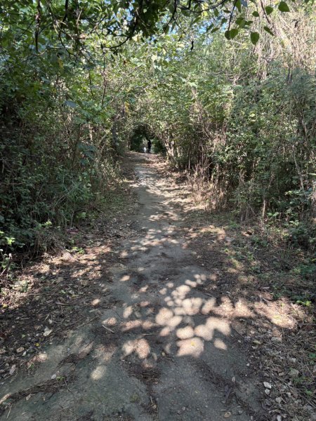 20251115壽山步道(元亨寺免費停車啟登)2938471