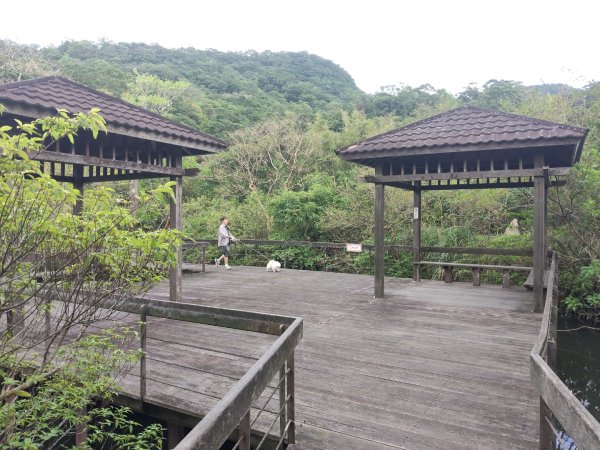 草嶺古道茫草祭2936599