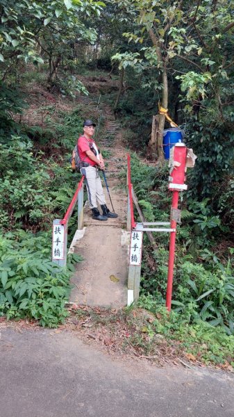 龜山五連星+大棟山O型2785146