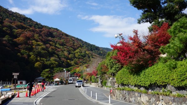 日本京都嵐山651830