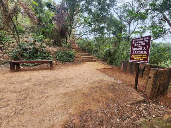 20250223田中大小劍與橫山2939822