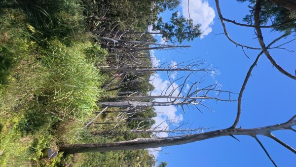 太平之旅 三星山/翠峰湖/見晴2873343