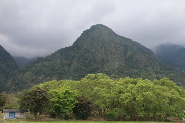 長濱金剛大道+台30線玉長公路＋玉里神社遺址2456877