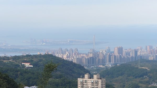 20260125 陽明山前後山健行(無極天元宮~山仔頂步道.向天池.向天山.面天山.二子坪)2997944