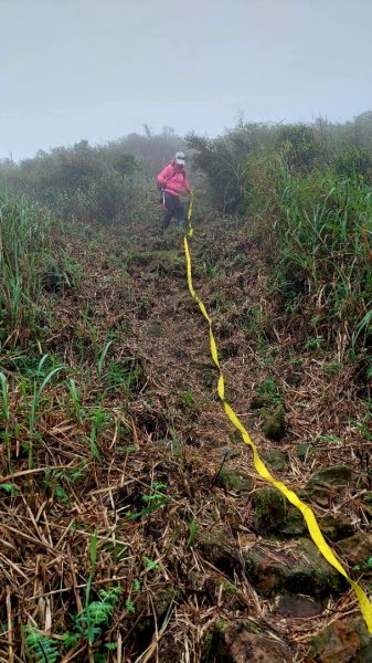 草山群峰、楊廷理古道、燦光寮古道O型2163135