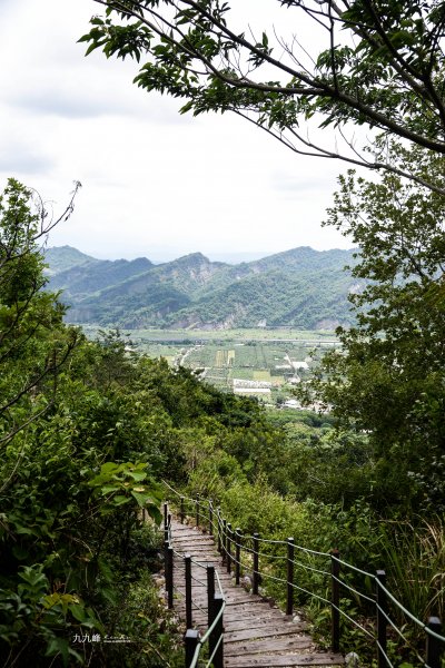 南投縣草屯鎮~九九峰森林步道1517659