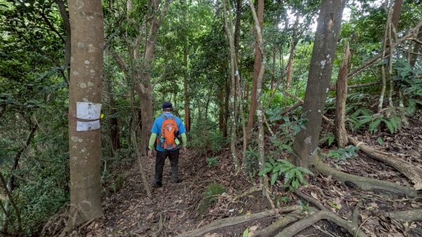 114.06.14雙石縱走&石門水庫-石牛山之旅2812297