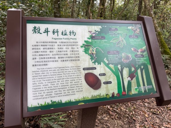 2025/04/04小百岳第022「東眼山」2753249