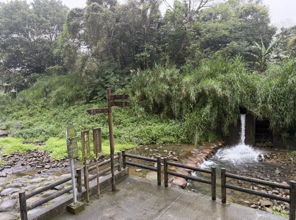 [樟之細路_第一大段RSA01] 2026_0329 清水坑溪景觀3026595