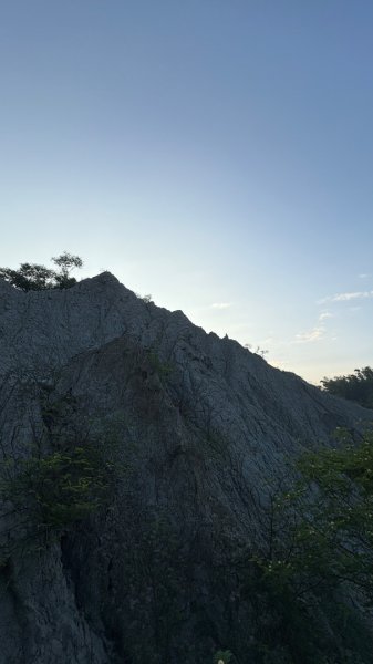 月世界3130898