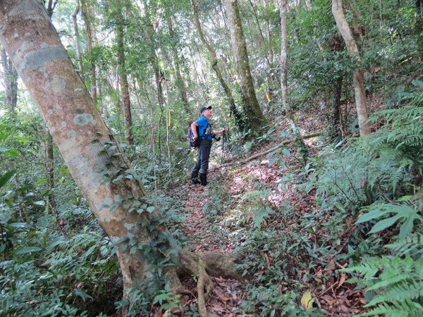 屯野生台山、石麻達山連走497616