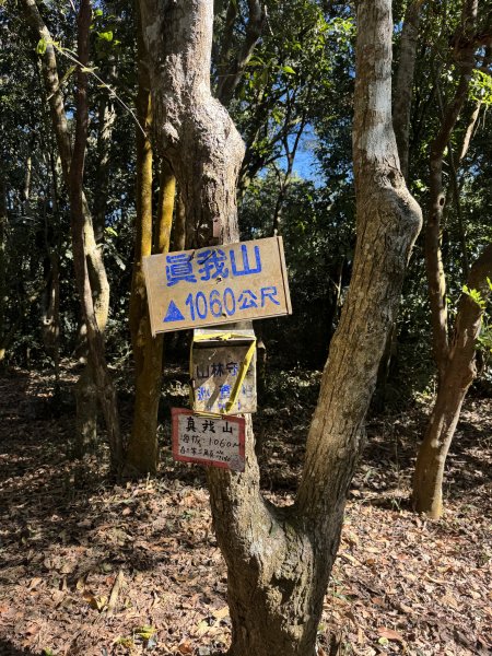 南真我山 & 真我山 & 真我山北峰 & 五公山 (20260215)3000606