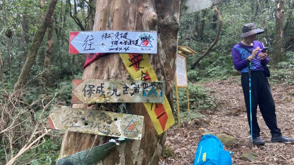 泰平國小的辭職嶺|Taiping|崩山坑古道|虎豹潭|峯花雪月2605859