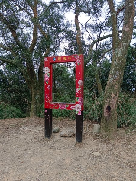 240223飛鳳山+中坑山+大板根森林2434899