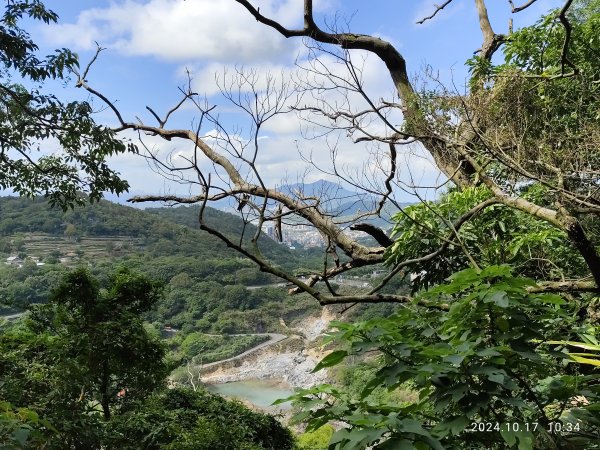 天母→猴洞→湖山→半嶺→第二展望臺→陽峰古道→花田花草集【發現陽明山】2-1