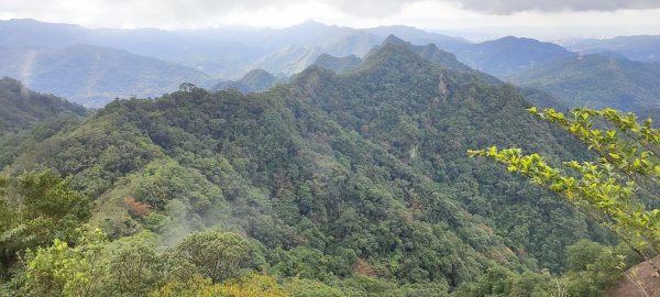 微笑山線：【二格山系】皇帝殿稜線段2955982