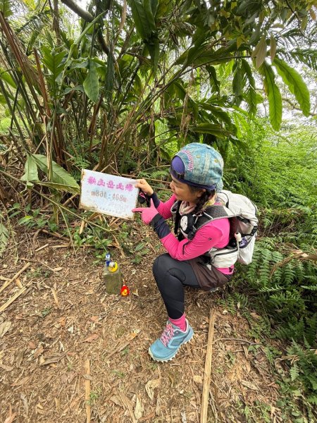 銀河洞越嶺貓空-新高麗坑山-銀獅縱走-猴山岳群峰+三條魚縱走2765415